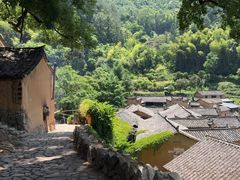 -杨家堂村