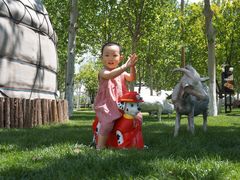 -九十九顶毡房(阜石路店)