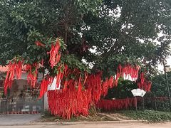 -三水森林公园