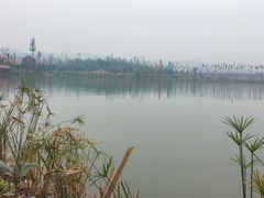 -枫香湖儿童公园