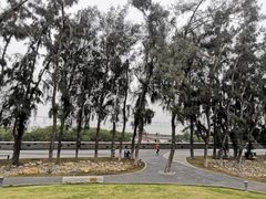 -宝安西湾红树林湿地公园