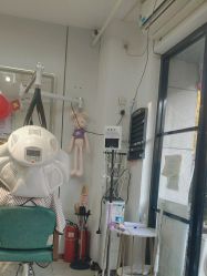 -东方美妍小鹏造型