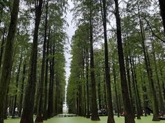 -渌洋湖湿地公园
