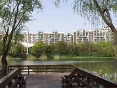 -新江湾城公园
