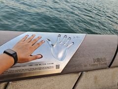 -星光大道