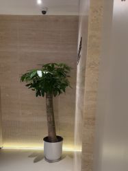 -深圳艺星医疗美容医院