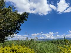 -洱海月湿地公园