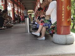-金城公园