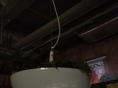 -青叶202都市餐厅(迪诺水镇店)
