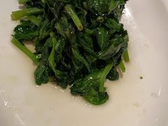 清炒豆苗-苏浙总会(国金中心店)