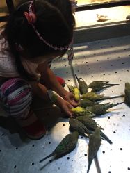 -酷嗒动物文化乐园(cutezoo西溪乐天城店)