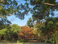 -嘉北郊野公园