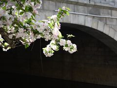 -海棠花溪(元大都城垣遗址公园)