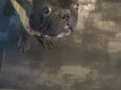 -美联众合动物医院(唯恩分院)