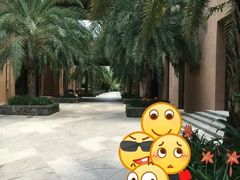 -三亚湾红树林度假世界(木棉酒店)