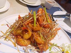 -点都德·毕德寮
