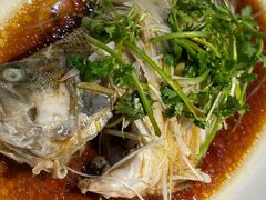 -日昌餐馆(Mini西点茂店)