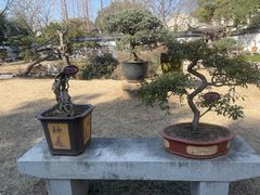 -上海醉白池公园