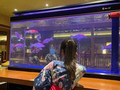 -大江户·温泉洗浴(浑南店)