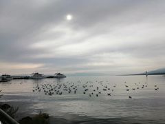 -青海湖国家重点风景名胜区