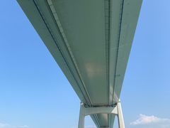 -招商蛇口邮轮母港(观光客运)