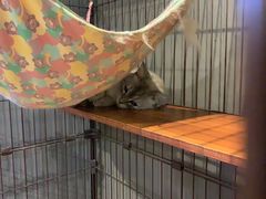 -脉冲品质汽美·贴膜(闵行店)