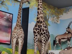 -陕西自然博物馆