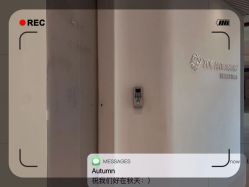 -紫御国际抗衰ZOE ANTI AGING