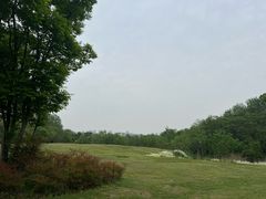 -盘龙城国家考古遗址公园