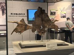 -北京周口店北京人遗址博物馆