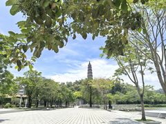 -顺峰山公园