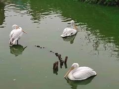 -无锡动物园·太湖欢乐园