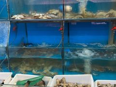 水产区-红灯笼龙凤饭店(宁波老字号店)