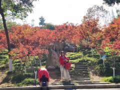 -广州市帽峰山景区