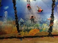 -贝壳梦幻世界