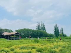 -良渚古城遗址公园