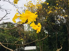 -华南国家植物园-售票处