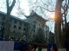 -武汉大学-樱园