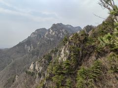 -王顺山国家森林公园
