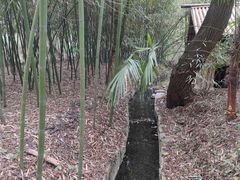 -兰亭风景区