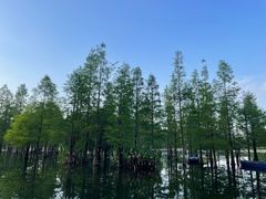 -白鹭湾湿地公园