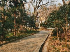 -灵谷景区