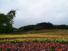 -保利石象湖景区