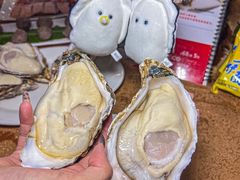 -濠轩阁特色生蚝火锅(水湾路店)