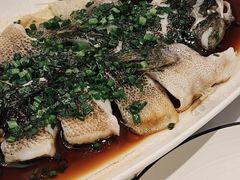 -南麓·浙里(外滩店)