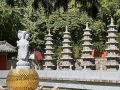 -泰山风景名胜区-普照寺