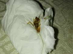 -恒宝大酒楼(城际·荔盈大厦店)