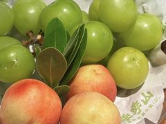 -季季山·云南野生菌火锅(上海首店)