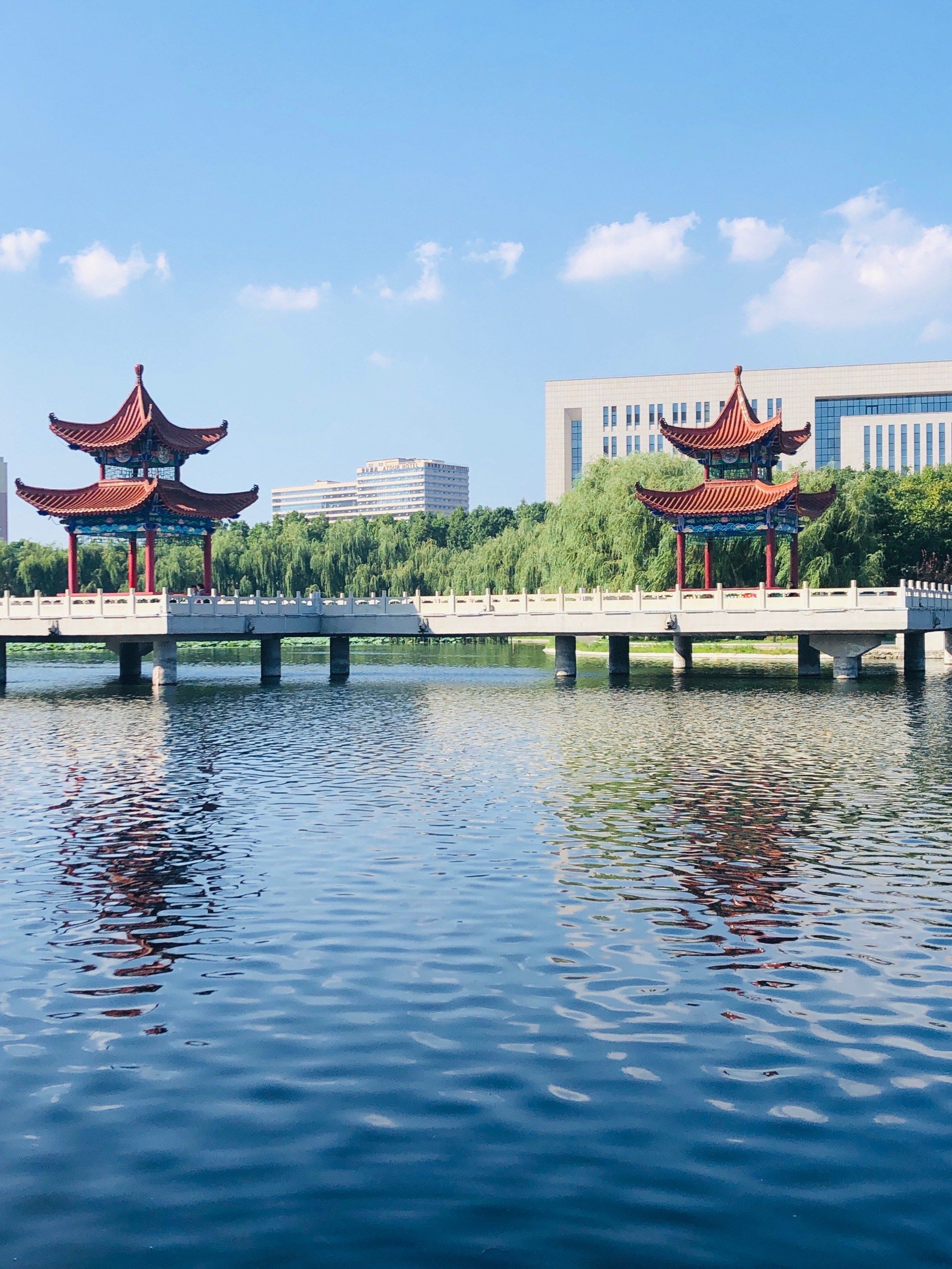 长春治愈系风景,一花一草一世界,一人一心一境界