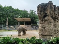 -成都动物园